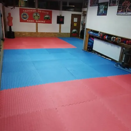 Niki House Pensionat 3*