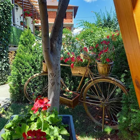 ゲストハウス Niki House