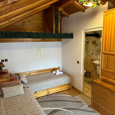 Niki House Pensionat Bansko