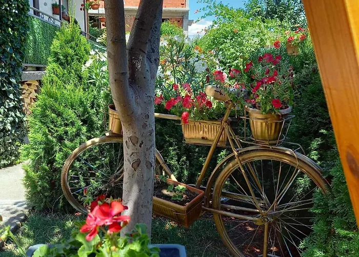 招待所 Niki House