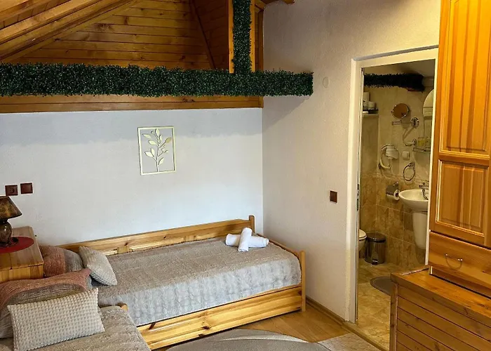 Niki House 招待所 班斯科