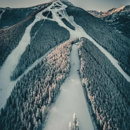 Niki House Bansko