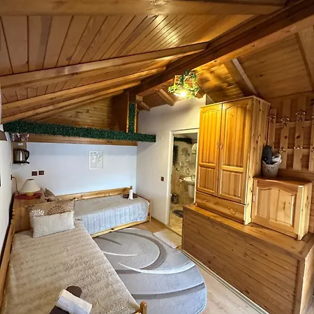 Niki House Bansko