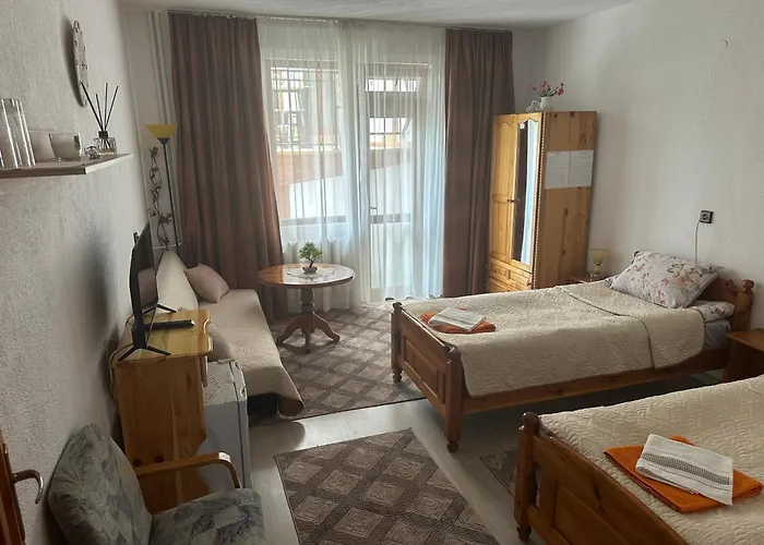 Guest house Niki House Bansko